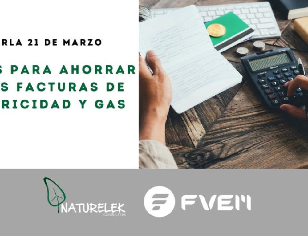 ¿cómo Leer La Factura De La Luz De Tu Empresa Naturelek Consulting